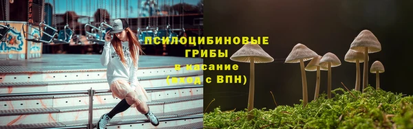 герыч Вязьма
