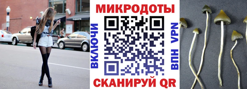 Галлюциногенные грибы Psilocybe  Купить  Бугуруслан 